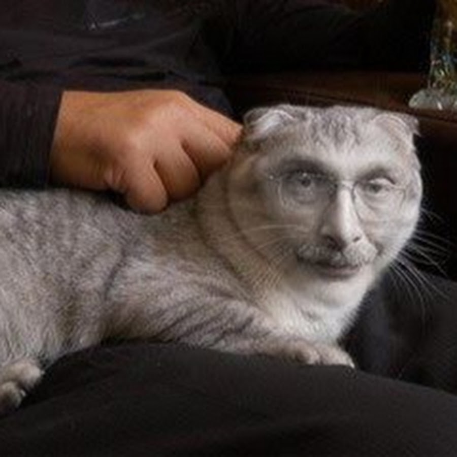 Друзь с котом мем