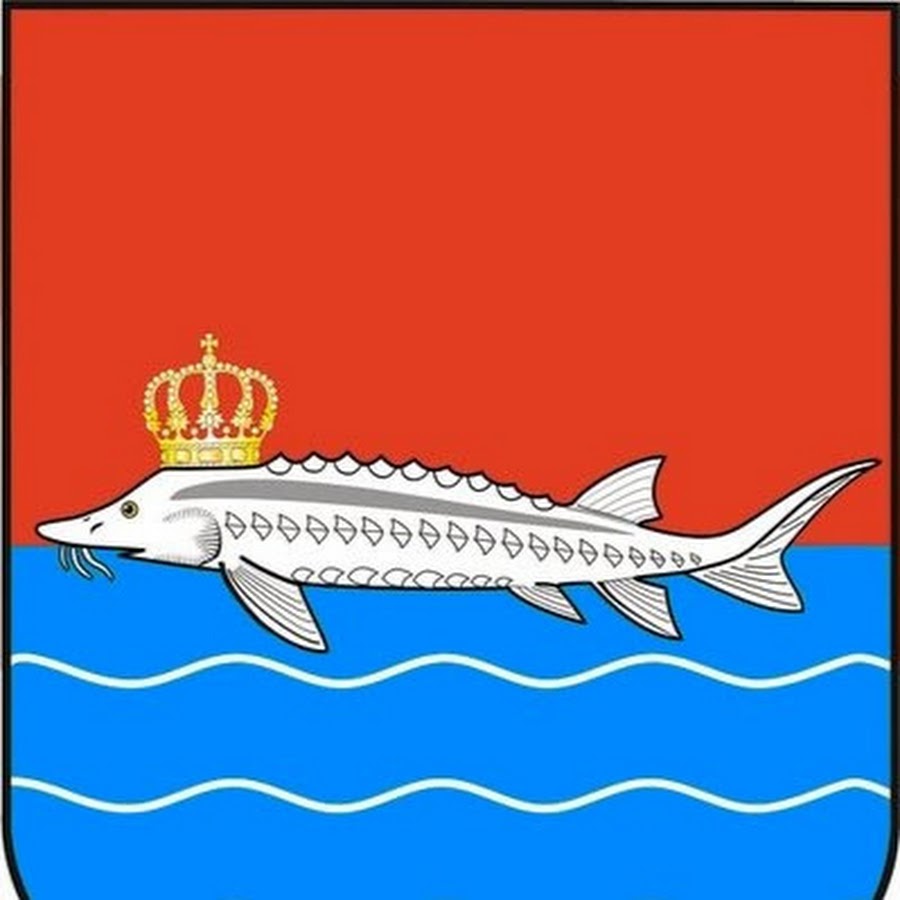 Переяславль залесский герб. Щука эмблема. Герб карп. Герб города с рыбой. На каком гербе изображена рыба.