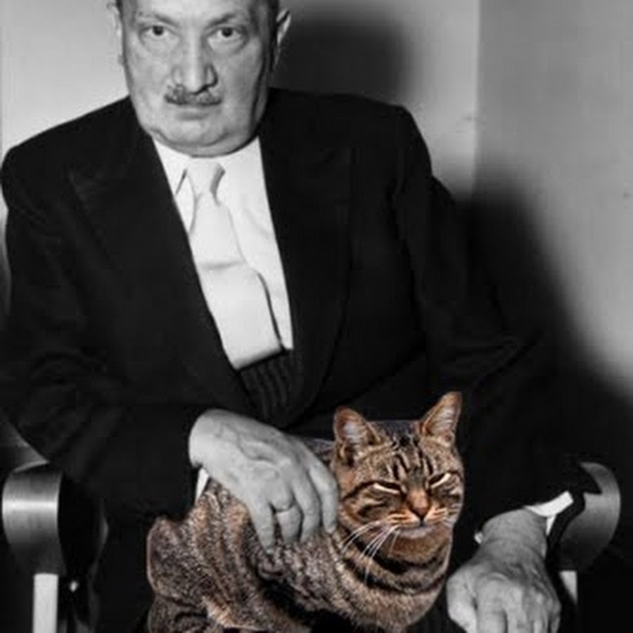 кот черчилль