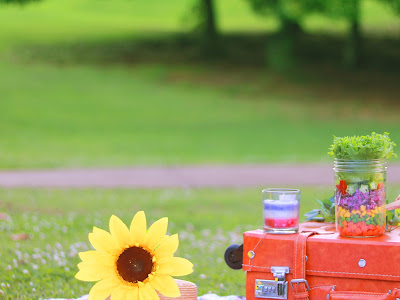 √99以上 芝生　写真 197704