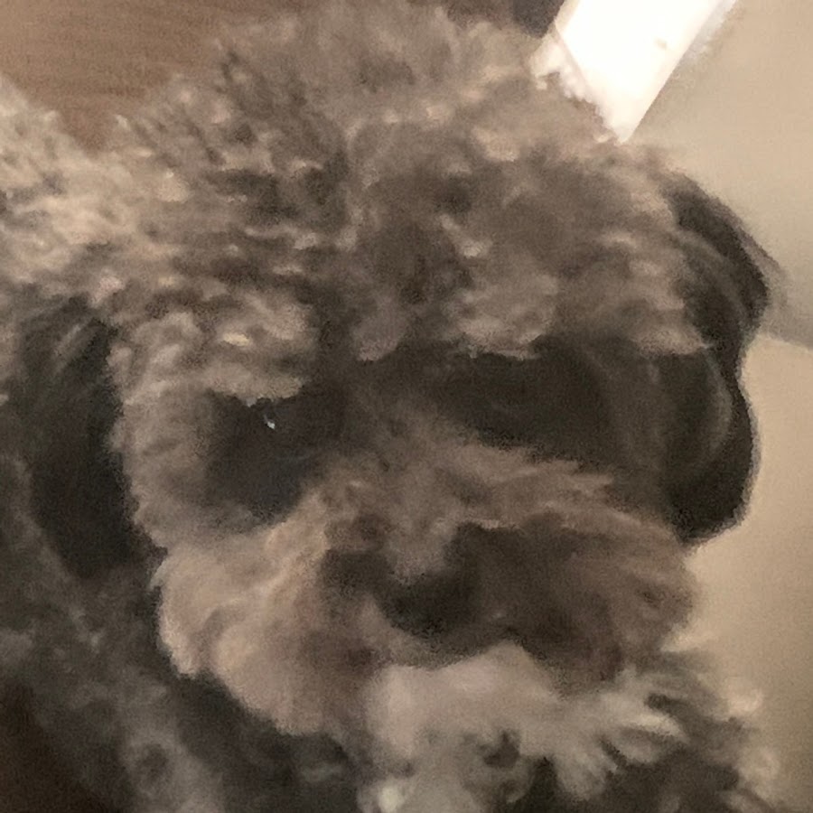 Молния пикачу картинки