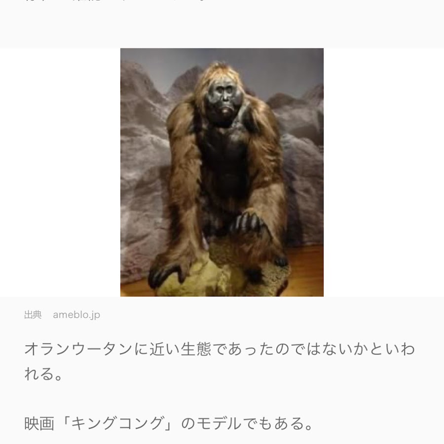 Channel只野仁 Youtube