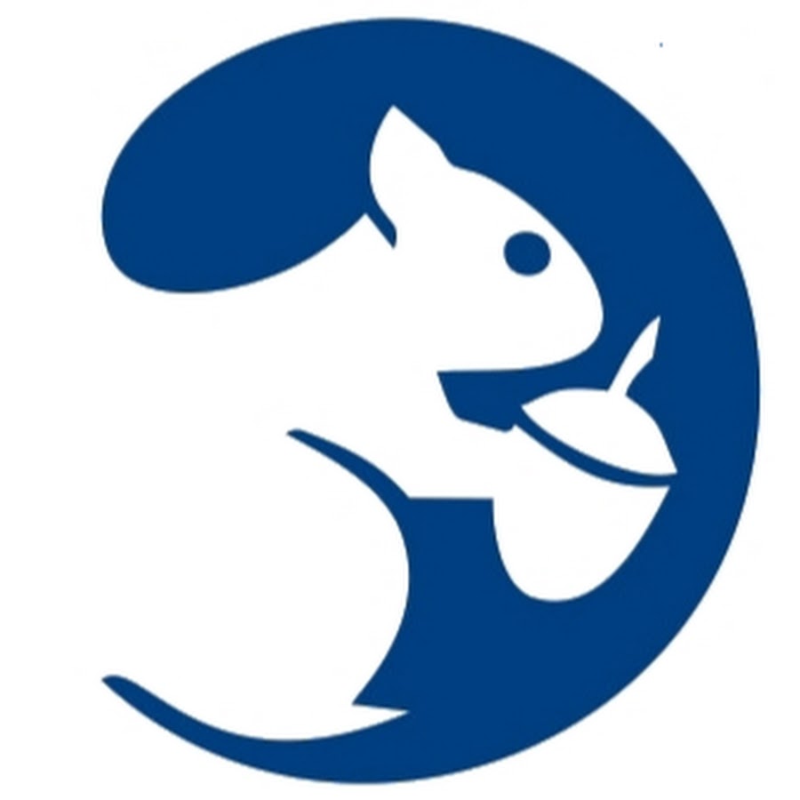 AKedOLQK36KVBFv8ggR9PlRh3NwxgivqjnysGZHJFQtV=s900ckc0x00ffffffnorj