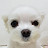최정예