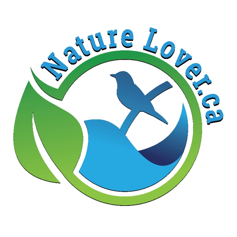 AKedOLQKBwSZl2_bfMCunMZEYtMfkl6sh2_53BjmDknpNA=s900ckc0x00ffffffnorj