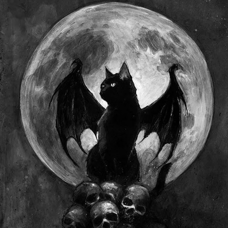 Кот дьявол