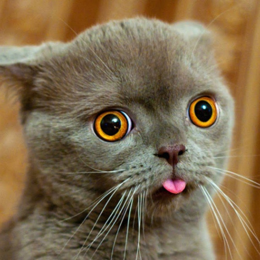 Змея детский рисунок