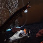 A Predatory Fish Experience by. Ricky Franklin YouTube Profile Photo