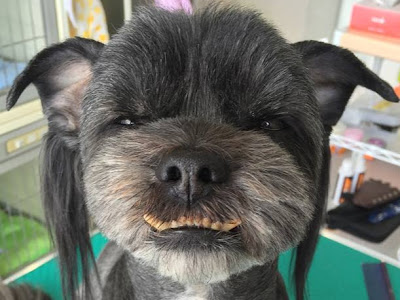 √70以上 フロムエース 146283-フロムエース 求人