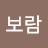 윤보람