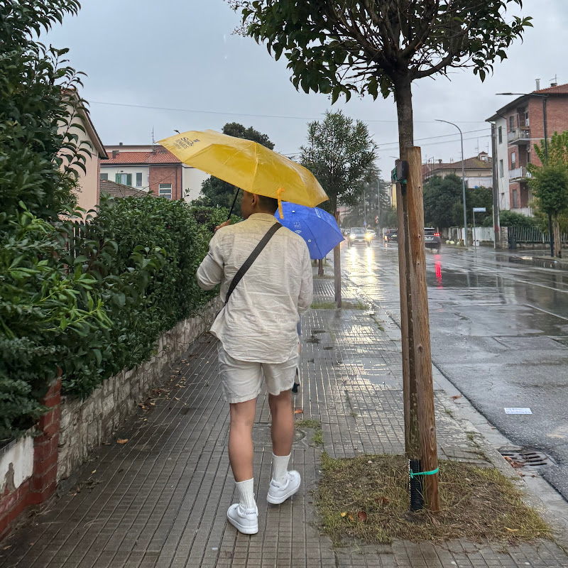 WZ khor - 網紅的藏寶箱 