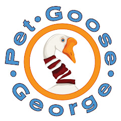 Pet Goose George thumbnail