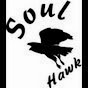 Soulhawk - @TheSoulhawk YouTube Profile Photo