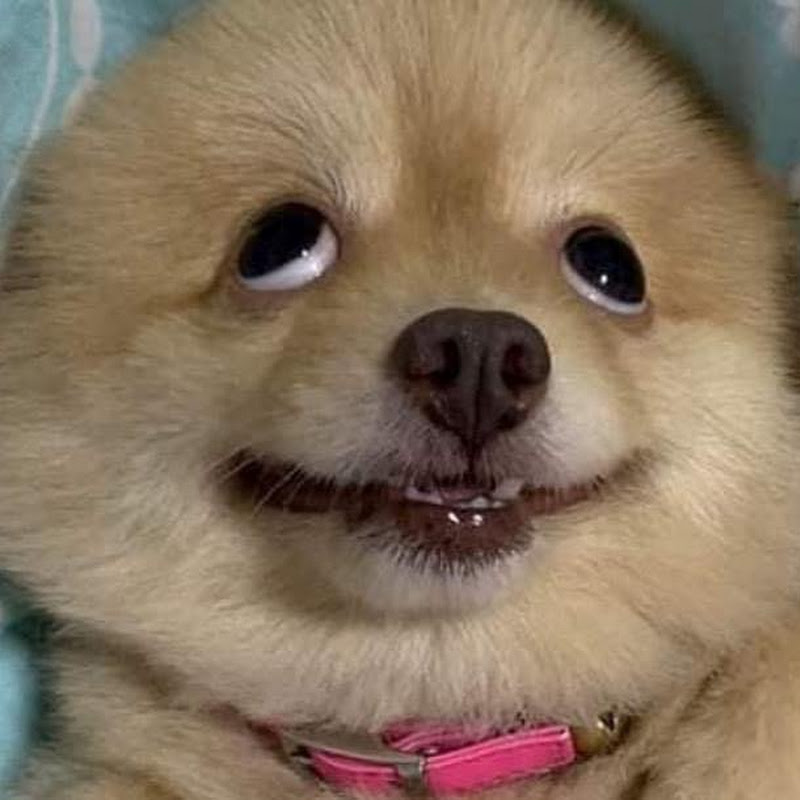 阿華田 - 網紅的藏寶箱 