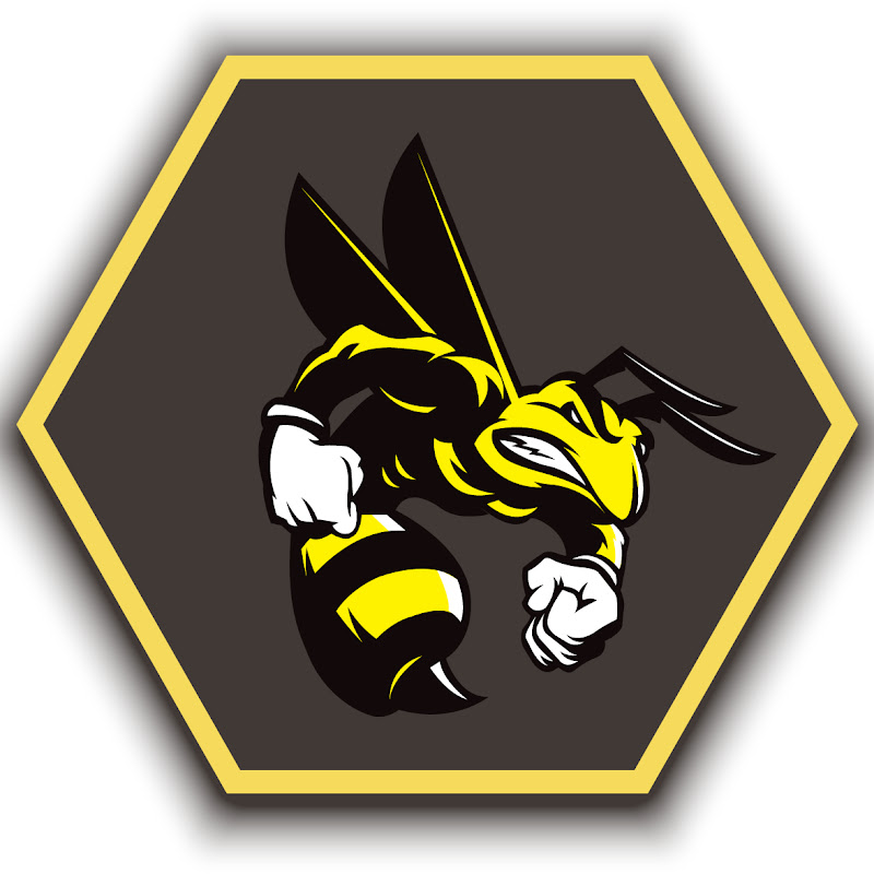 Alpha Drone Service