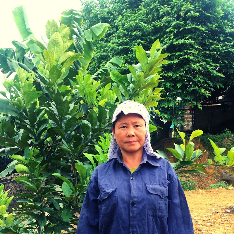 MẸ NHÀ QUÊ - 網紅的藏寶箱 