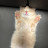 가을