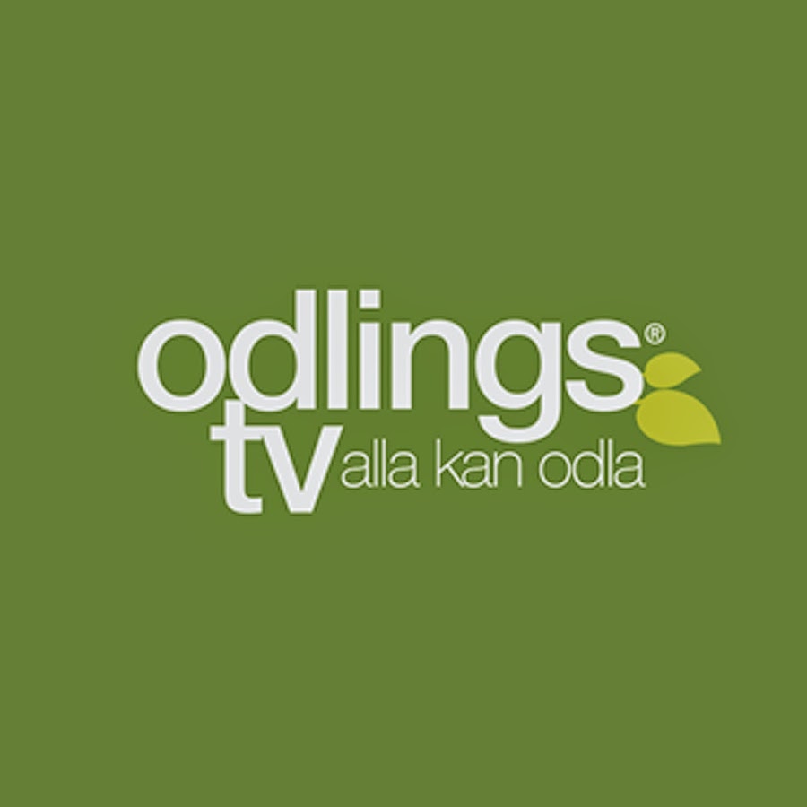 OdlingsTV - YouTube