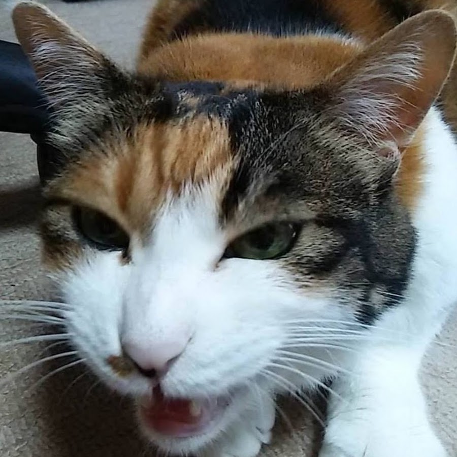 長橋美紀 Youtube