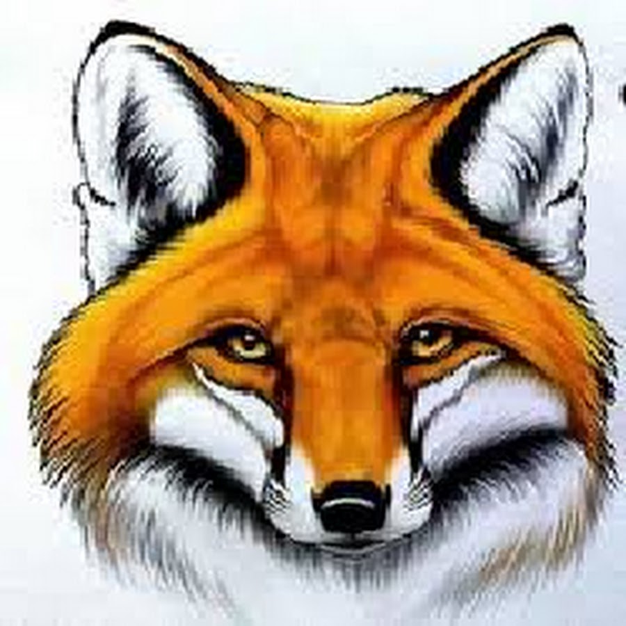 Мордочка лисы рисунок для детей