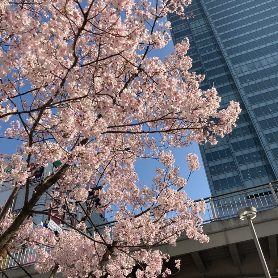 村田知沙 Youtube