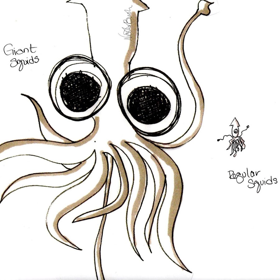 Squid 5. Squid 5