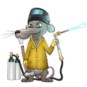 «Fab Rats»