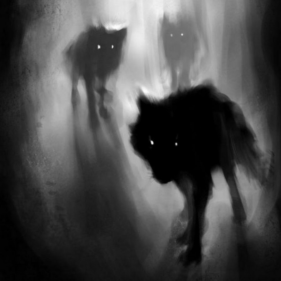 Глаза волка в темноте