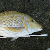 仕掛けの結び方 教えます 打ち込み釣り タマン釣り Youtube