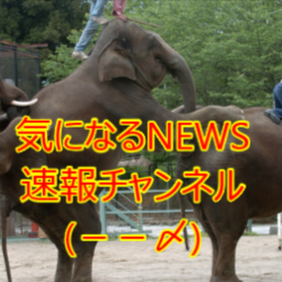 気になるｎｅｗｓ Youtube