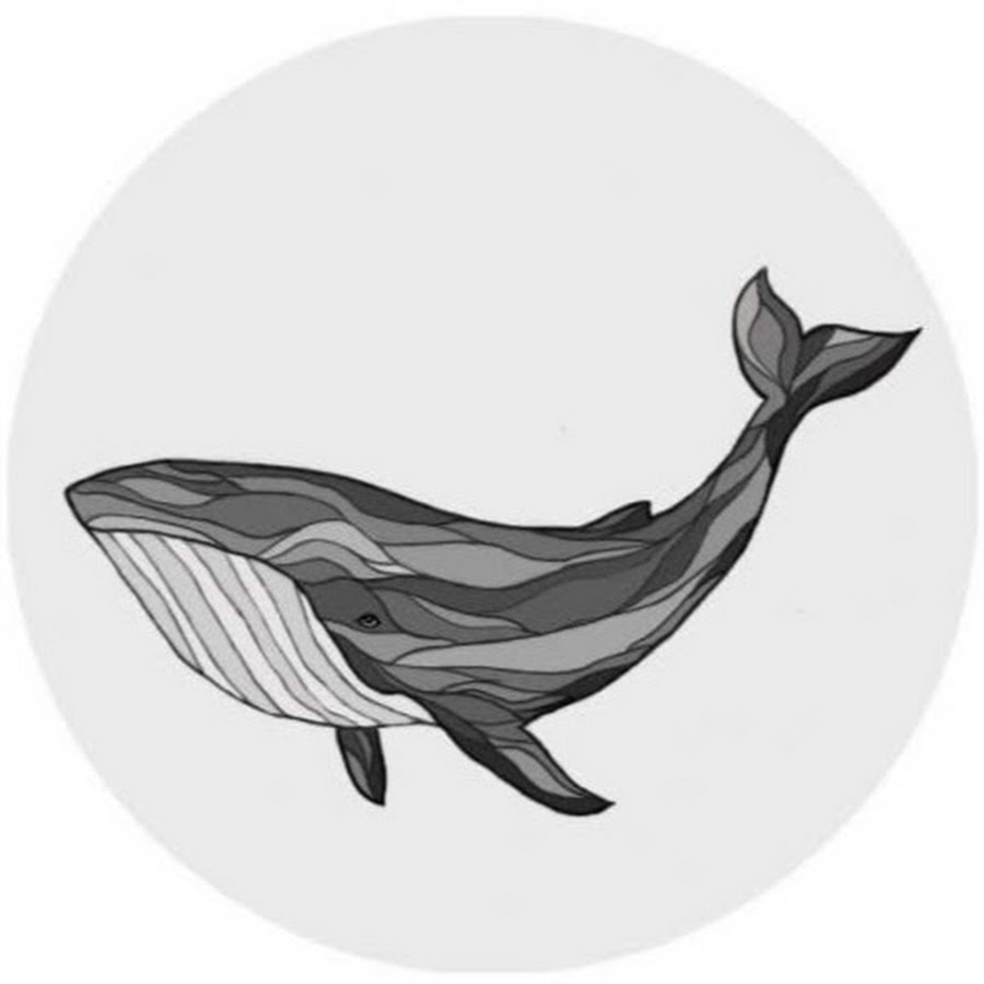 Офта кит. Синий кит лого. Сейвал (ивасёвый кит) (balaenoptera borealis). Кашалот. Офтан катаxром капли глазные 10мл.