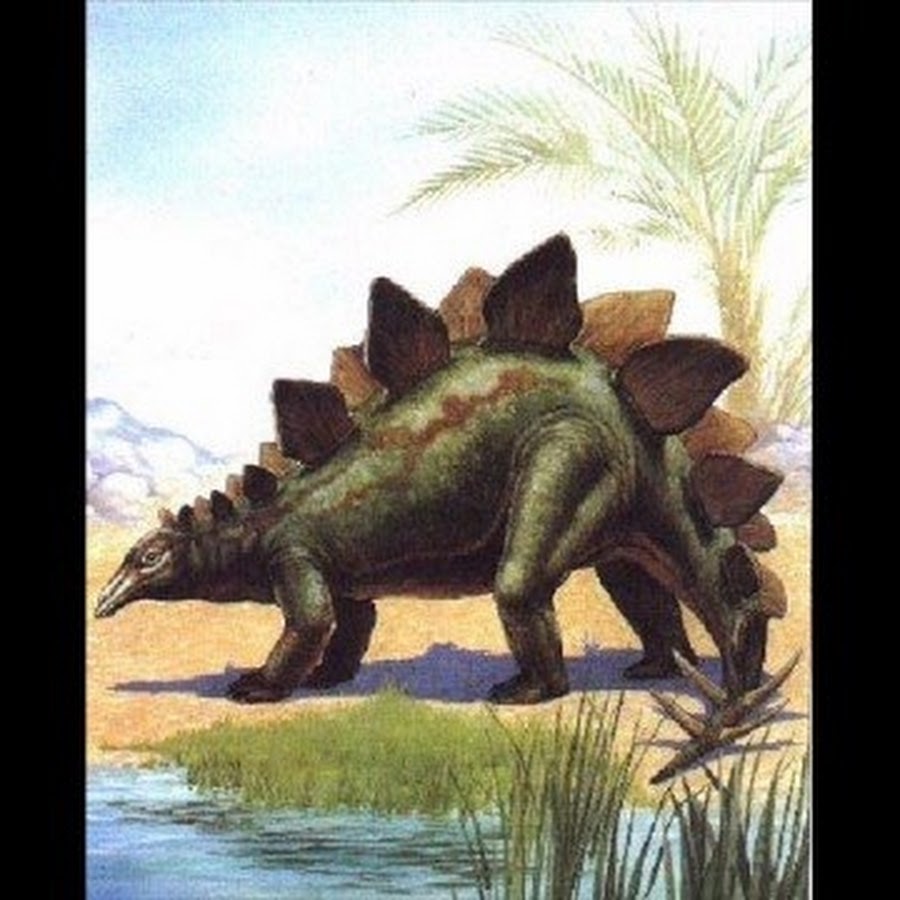 Древние пресмыкающиеся виды. Стегозавр Буриан. Стегозавр травоядный. Стегозавр динозавр. Плутония Стегозавр.