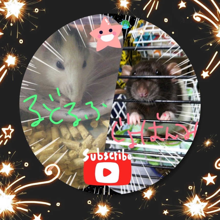 ネズミさんは可愛いチャンネル Youtube
