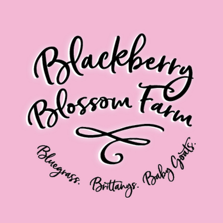 AKedOLQPAuIKTBDqRNCn9iioDdg_ABclAakc8sE=s900ckc0x00ffffffnorj