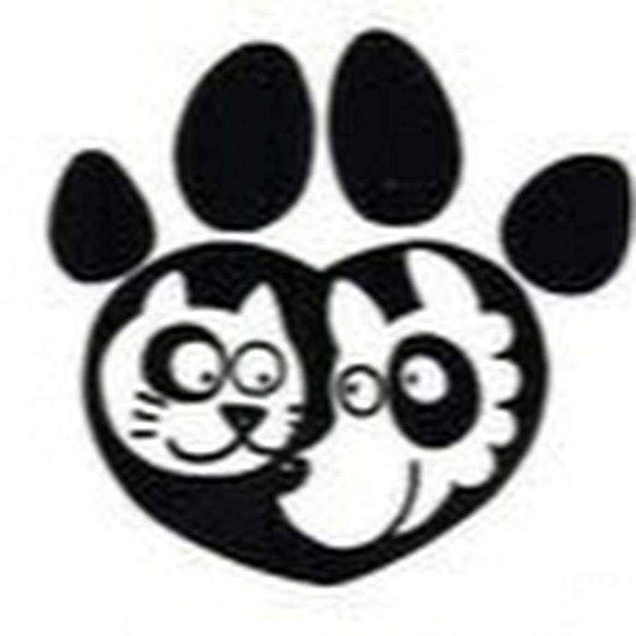 ぴっころ動物病院 Youtube