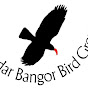 Bangor Bird Group YouTube Profile Photo