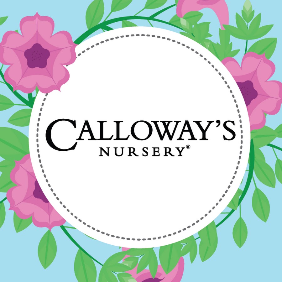 AKedOLQPHnZ3sRorIewrC1epsqA2se66zH63qFcjXUWURg=s900ckc0x00ffffffnorj