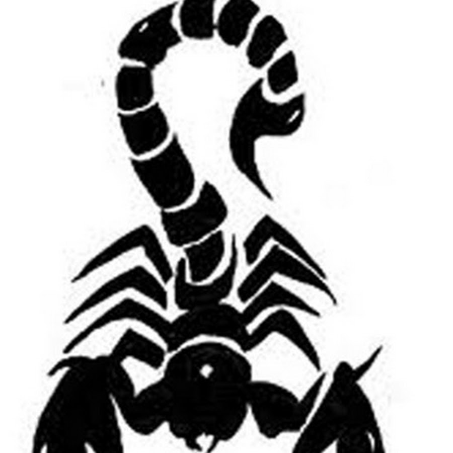 Скорпион трайбл. Скорпион эскиз. Скорпион тату эскиз. Скорпион рисунок