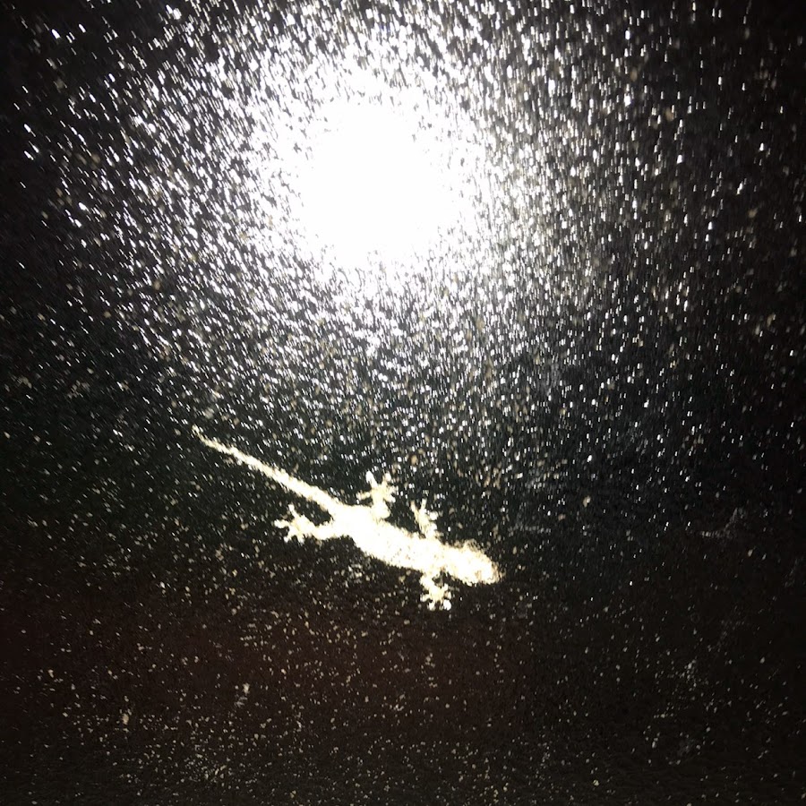 ツボ浅い人 Youtube