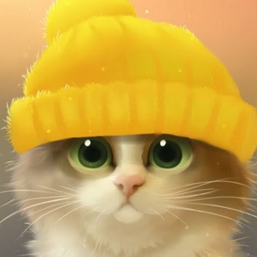 Милые котики в шапочках