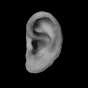Radio Ear YouTube Profile Photo