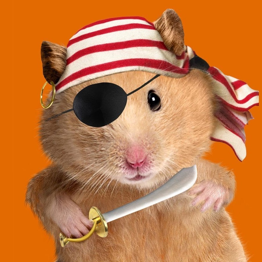Хомяк в очках картинки