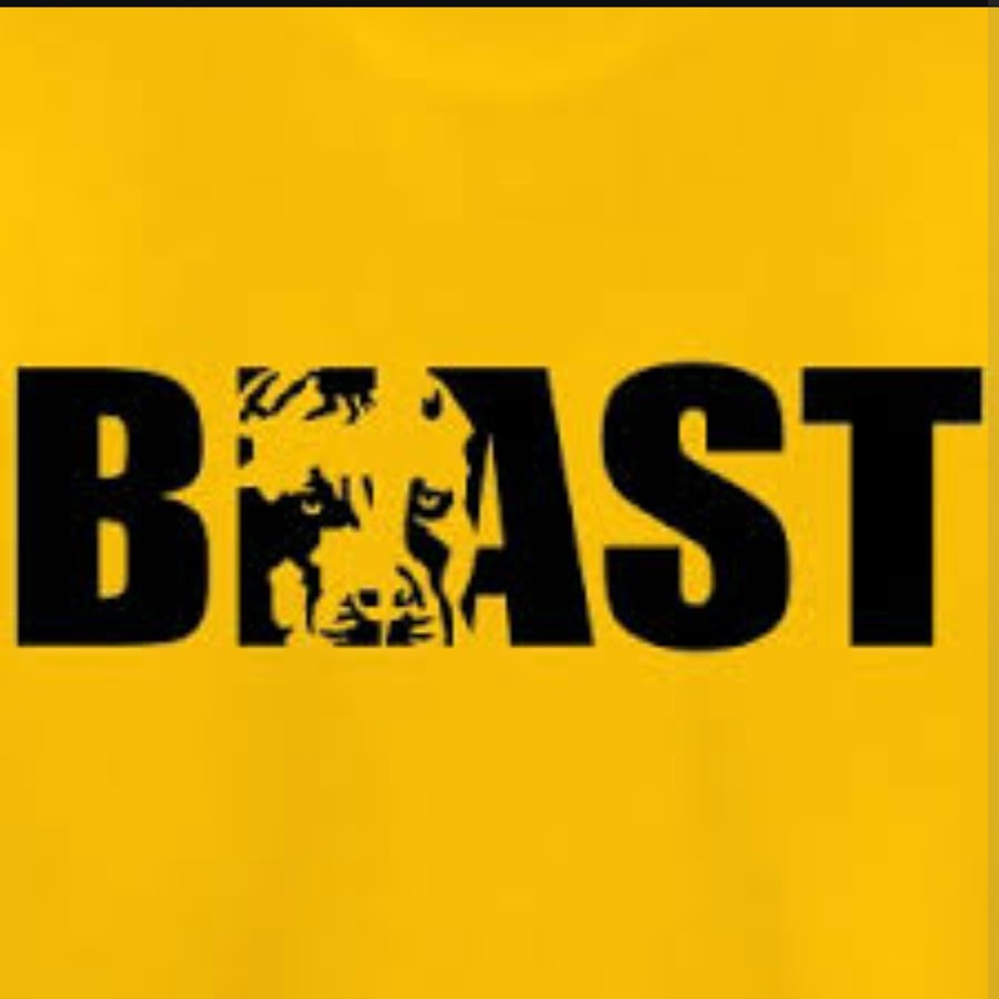 Мс бист. Beast аватарка. Мистер Бист ава. Мистер Бист логотип. Ава Beast BS.