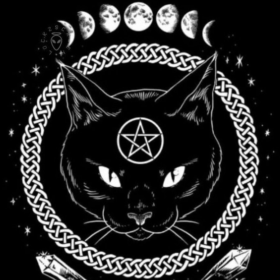 Spell cats. Alugalug cat x the kiffness. Пародии на картины коты. Кот джонси. Spell cats.