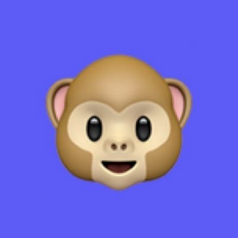 Monkey chat
