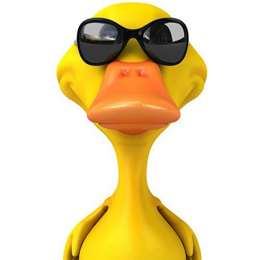 утка в очках. уточка с очками. уточка в очках. утёнок в очках. утка в очках.