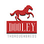 Dooley Thoroughbreds YouTube Profile Photo