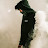 Hossain Rony Avatar