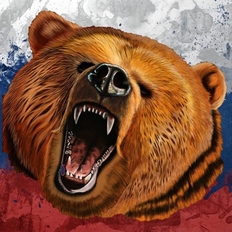 Russia bear steam фото 18