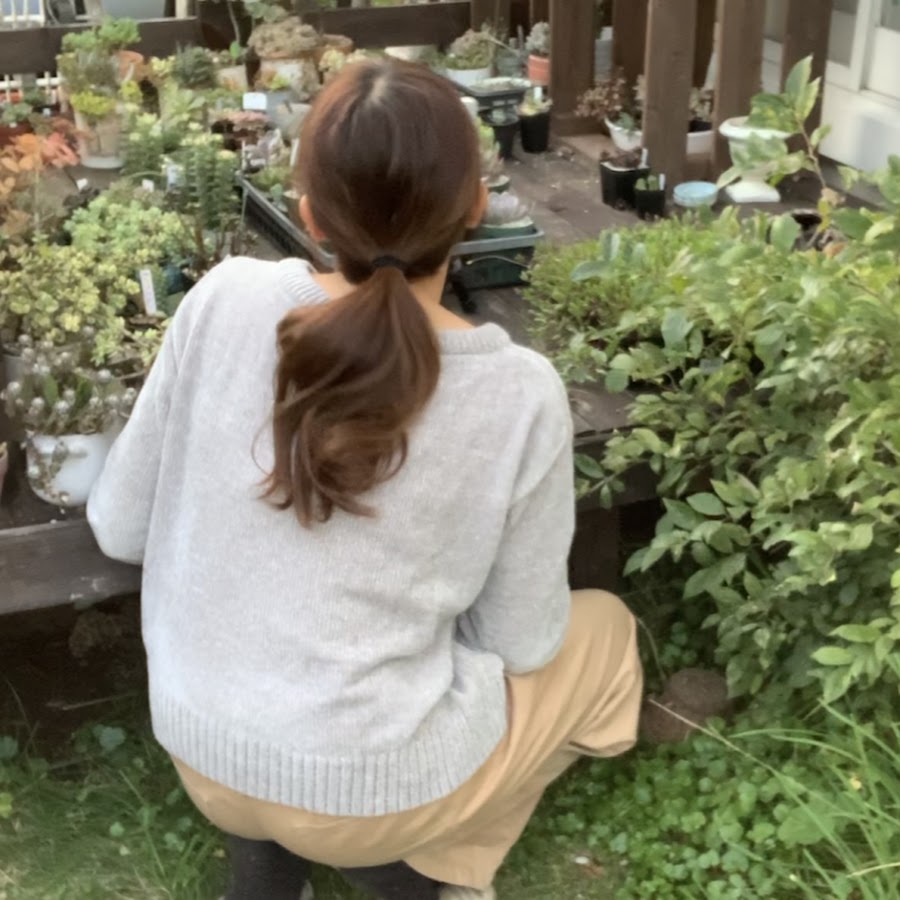 Portobellomarket多肉チャンネル Youtube
